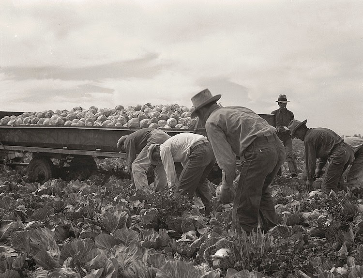 dust bowl great depression dorothe lange